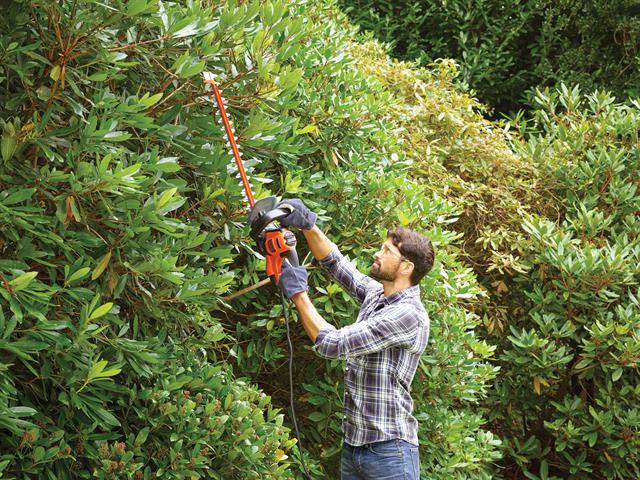 Buy Black + Decker 60cm Corded Hedge Trimmer - 600W, Hedge trimmers